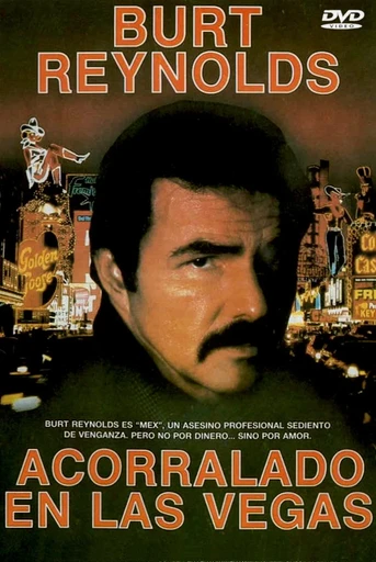 Poster de Acorralado en Las Vegas