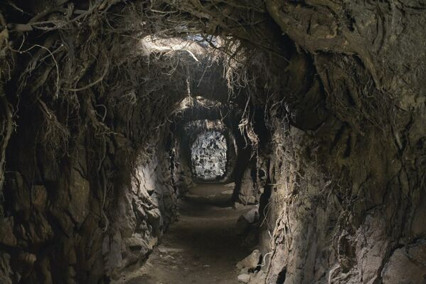 Imagen de Las Crónicas de Spiderwick