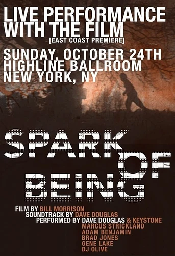 Poster de Spark of Being