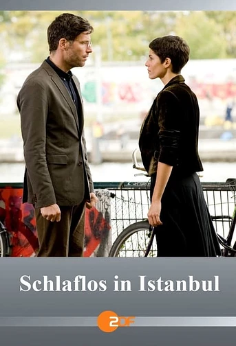Poster de Despiertos en Estambul