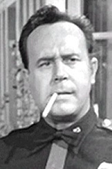picture of actor Don Shelton