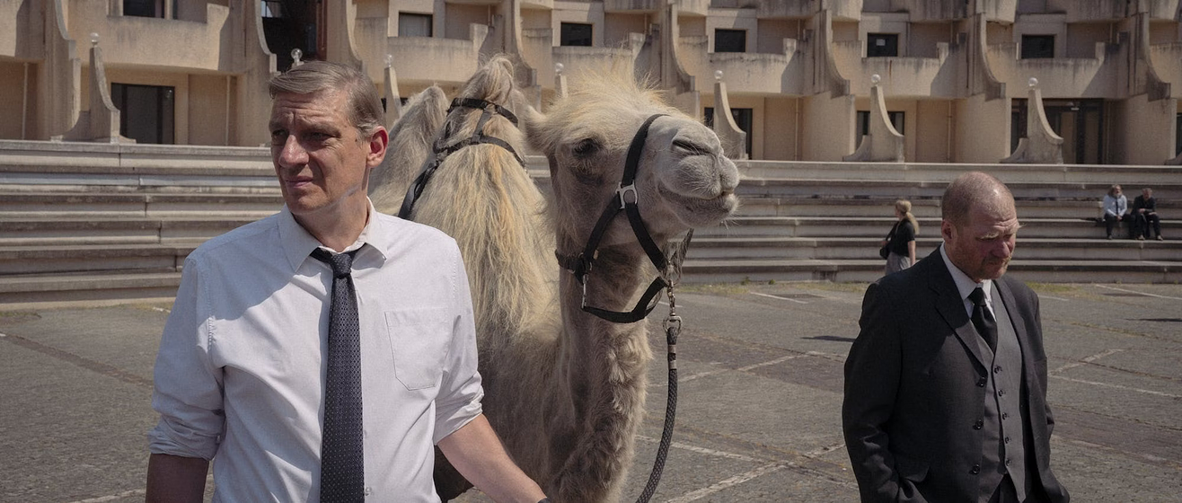 Peter Van den Begin en Waarom Wettelen