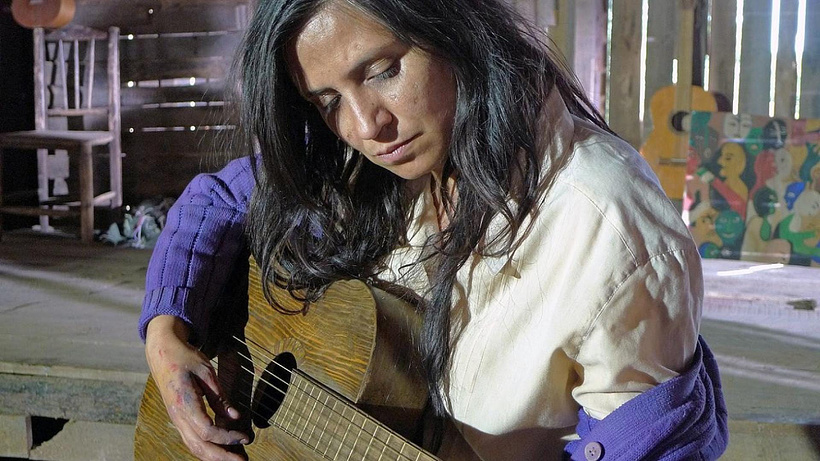 Imagen de Violeta se fue a los cielos