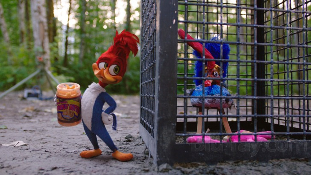 Imagen de El Pájaro Loco: La Película
