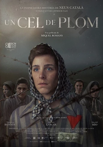Poster de Cenizas en el Cielo