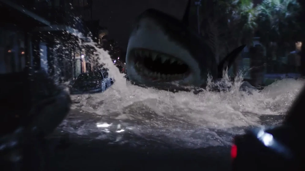 Imagen de big-shark