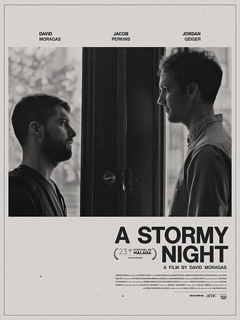 poster of content A Stormy Night