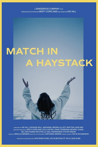 Poster de Match in a Haystack