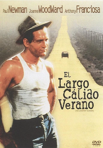 Poster de El Largo y Cálido Verano