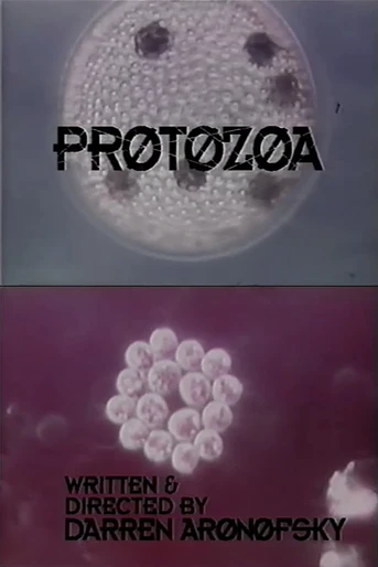 Poster de Protozoa