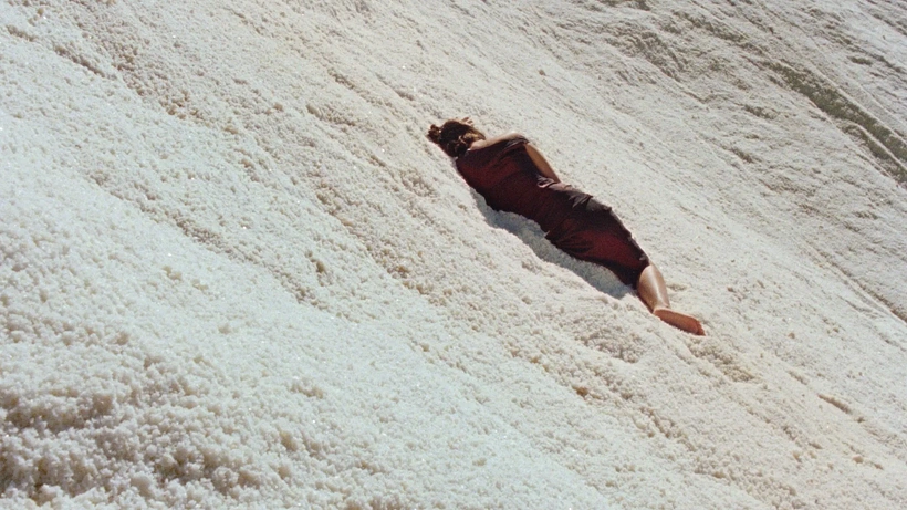 Imagen de The Loneliness of Lizards