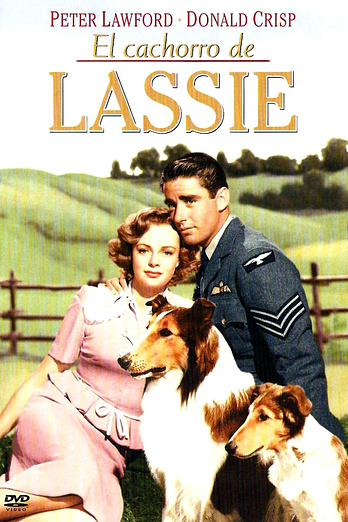 poster of content El Cachorro de Lassie