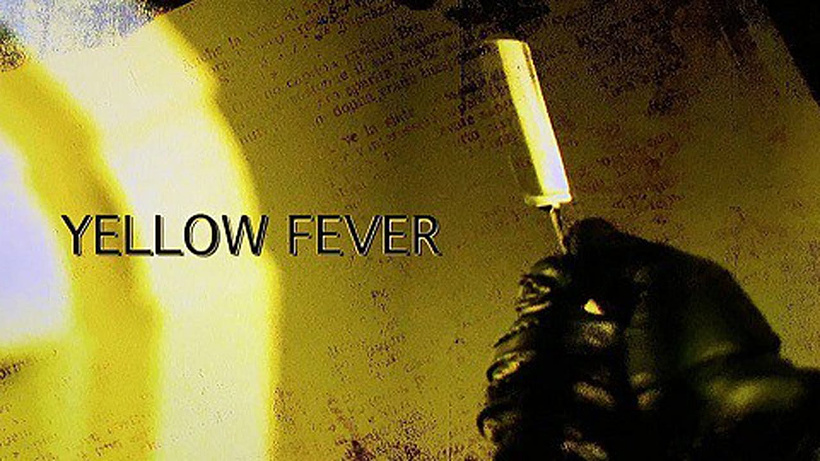 Imagen de Yellow Fever: The Rise and Fall of the Giallo