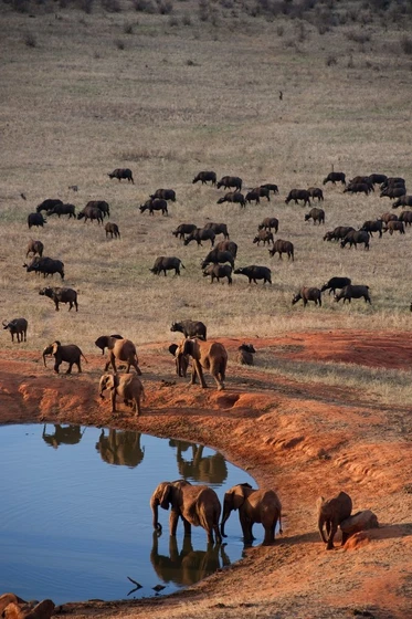Imagen de Born to Be Wild