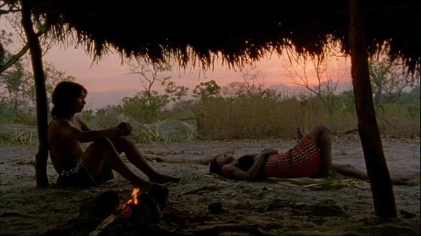 Imagen de El Canto de la Selva