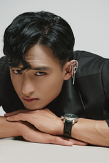picture of actor Hữu Vi