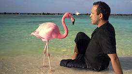 still of movie The Mystery of the Pink Flamingo