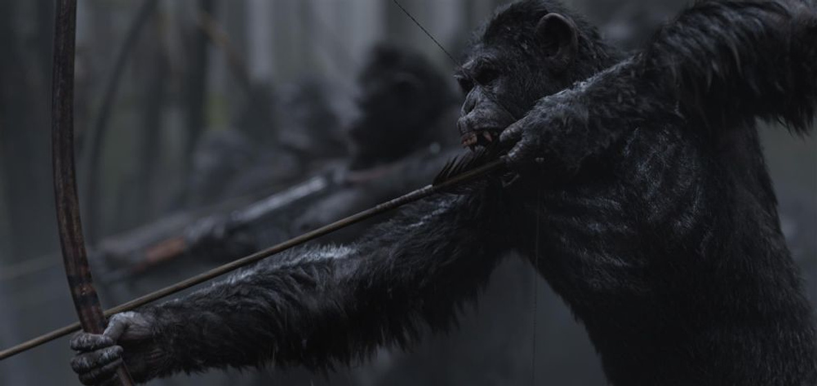 Imagen de La Guerra del Planeta de los simios