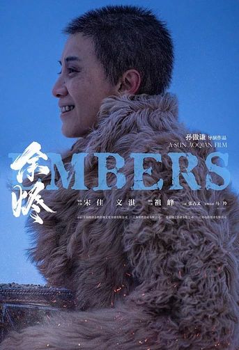 Poster de Embers