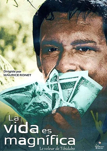 Poster de La Vida es Magnífica