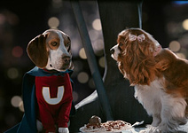 still of movie Superdog