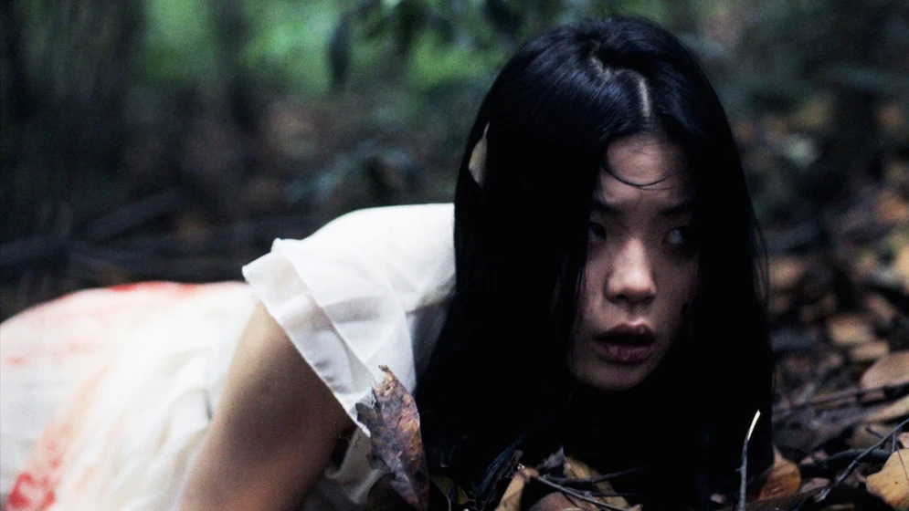 Sherry Ruihong Xia en ni-jing-no-robaras (Ni Jing: No Robarás - Xiaofan en el bosque)