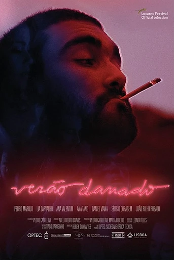 Poster de Verão Danado