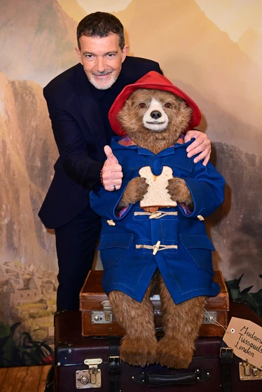 Antonio Banderas en paddington-aventura-en-la-selva (Premiere en Londres. Noviembre de 2024)