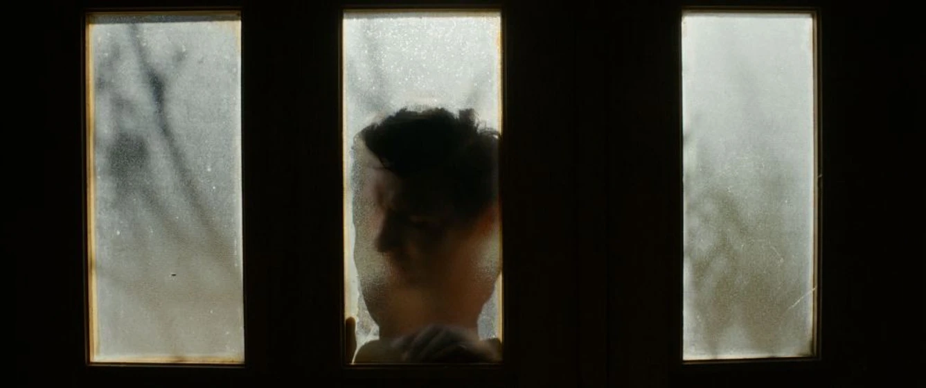 Imagen de bajo-el-sol