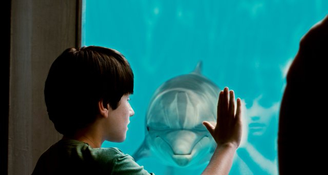 Nathan Gamble en La Gran aventura de Winter el delfín