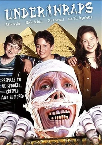 Poster de Under Wraps
