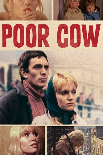 Poster de Pobre Vaca