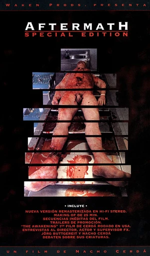 Poster de Aftermath