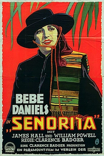 poster of content La Nieta del Zorro