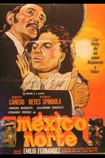 Poster de México Norte