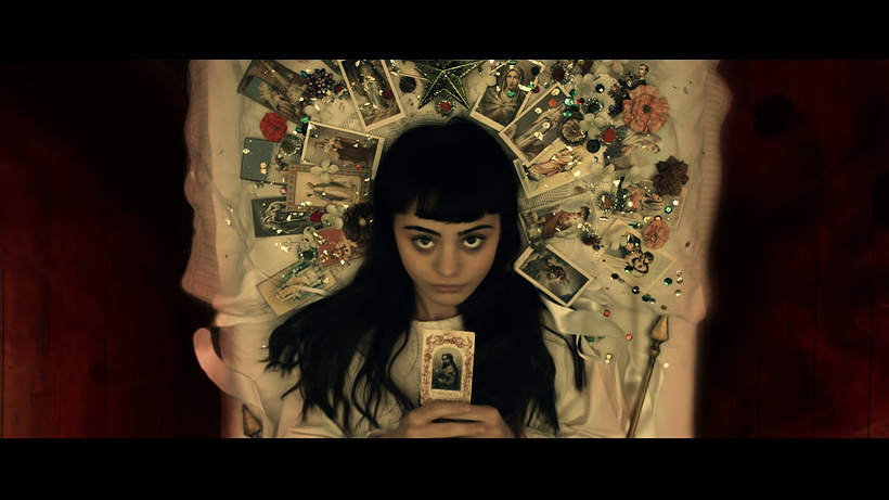 Imagen de The Book of Birdie