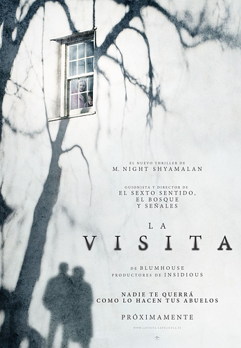 poster of content La Visita