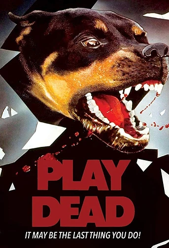 Poster de Play Dead