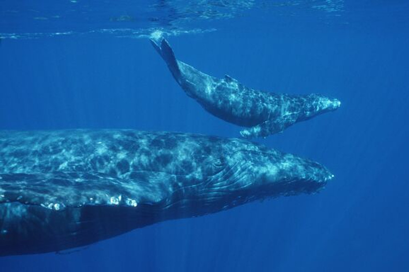 Imagen de Tierra