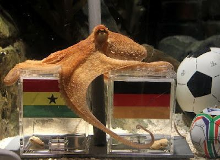 Imagen de The Life and Times of Paul the Psychic Octopus