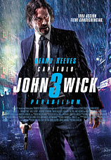 poster of movie John Wick: Capítulo 3 - Parabellum