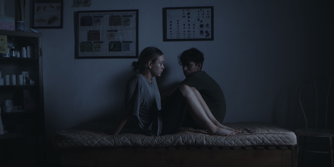 Imagen de Kissing Bug