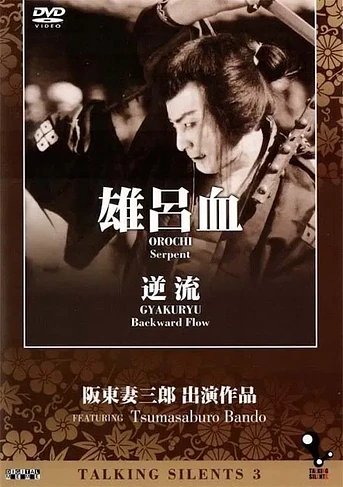 Poster de Backward Flow