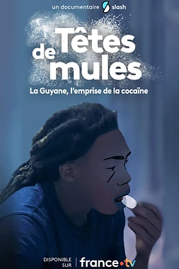 Têtes de mules : La Guyane, l'emprise de la Cocaïne