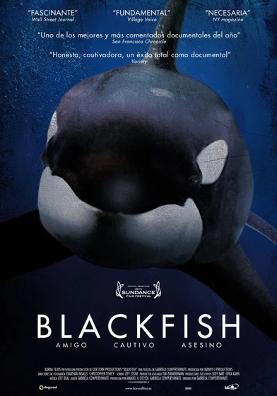Imagen de blackfish (Cartel español)