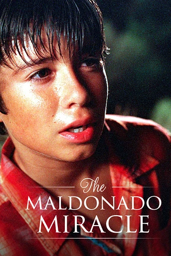 Poster de El Milagro de Maldonado