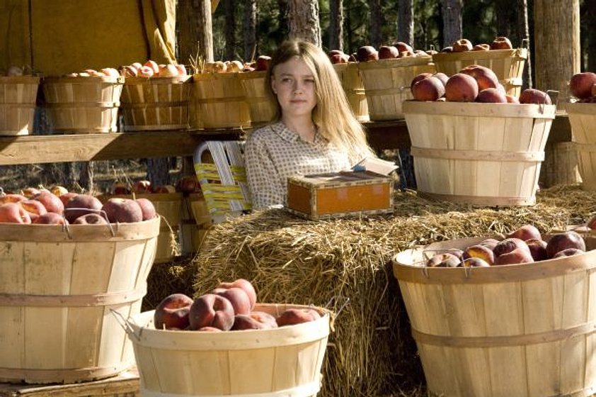 Dakota Fanning en La Vida Secreta de las abejas