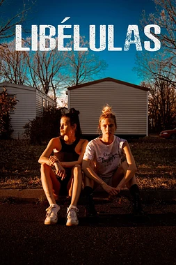 poster of movie Libélulas