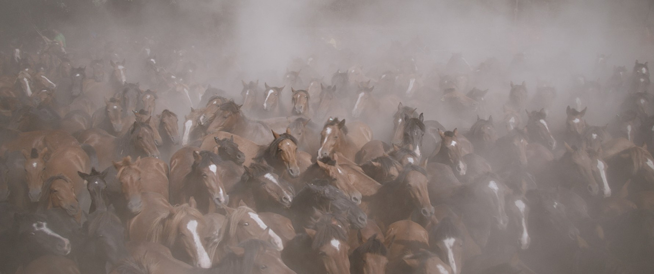 Imagen de Only On Earth