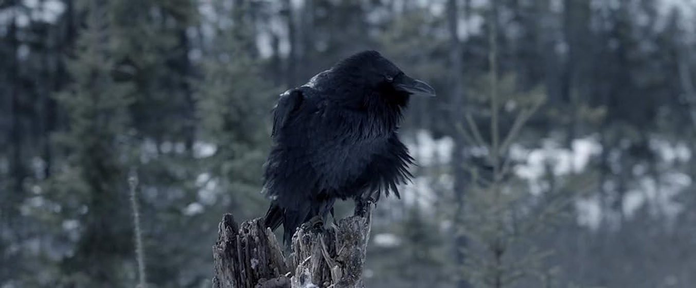 Imagen de la-noche-de-la-bruja